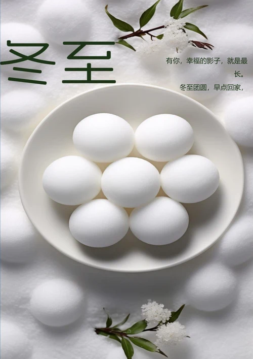 冬至团圆冬至节气海报