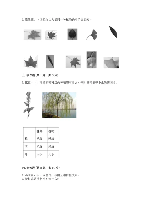 教科版科学一年级上册第一单元《植物》测试卷含完整答案【夺冠系列】.docx