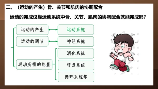 人教版生物八年级上册5.2.1《动物的运动》课件(共27张PPT)+视频素材