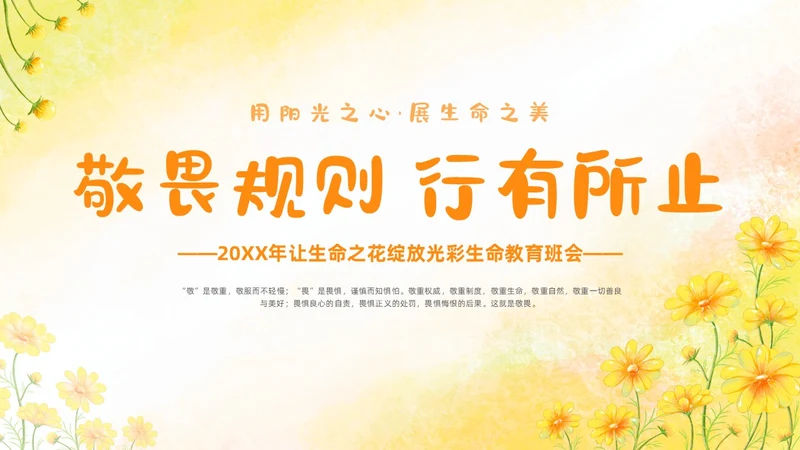 敬畏规则行有所止生命教育主题班会PPT课件
