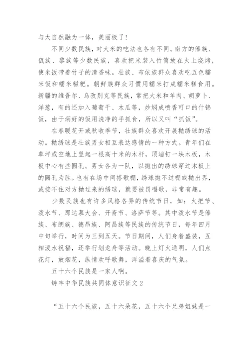 铸牢中华民族共同体意识征文最新5篇.docx