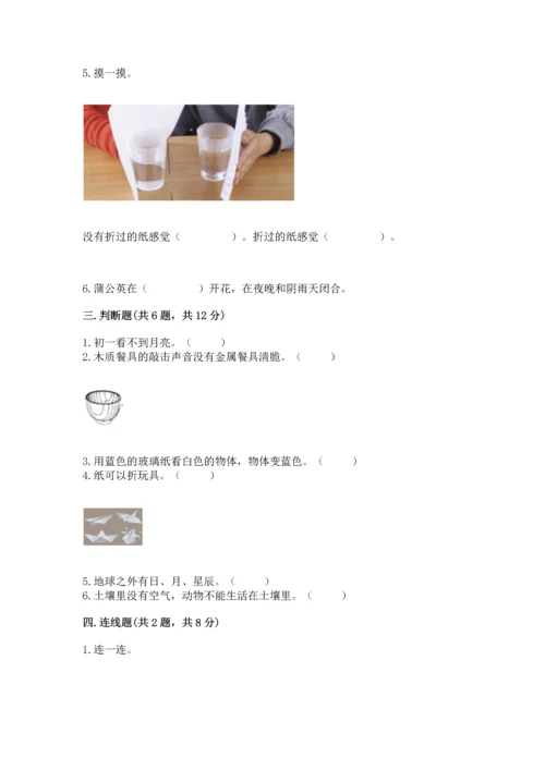 教科版科学二年级上册《期末测试卷》（综合卷）.docx