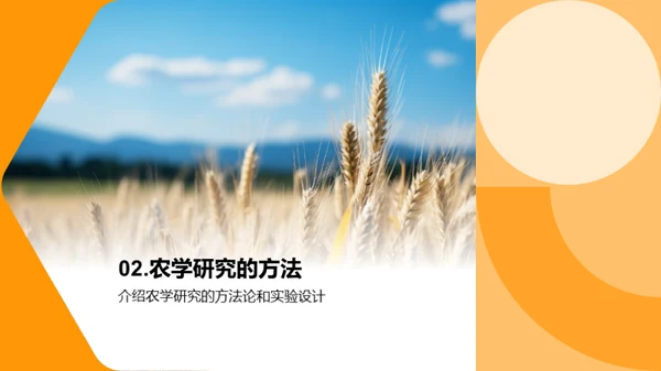 农学研究探秘