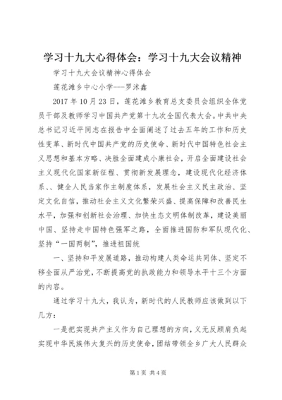 学习十九大心得体会：学习十九大会议精神 (3).docx