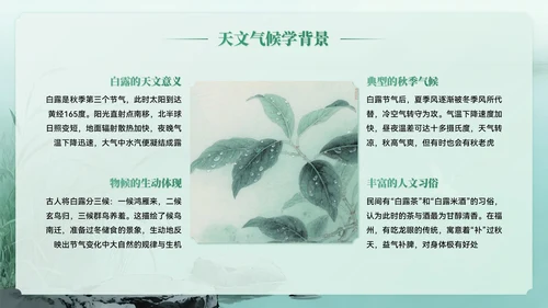 绿色系中国风白露节气介绍PPT模板