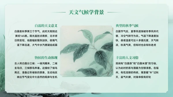 绿色系中国风白露节气介绍PPT模板