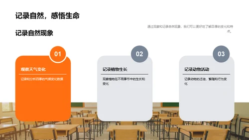 四季奥秘与环保行动