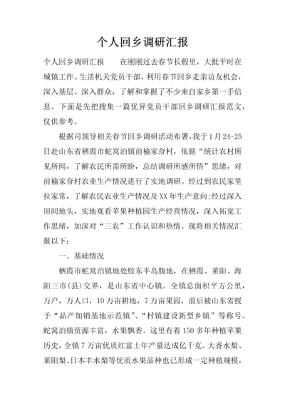 个人回乡调研研究报告.docx