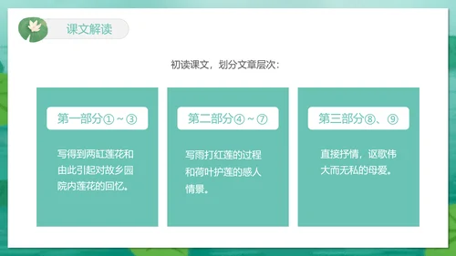 冰心《荷叶母亲》中学语文PPT课件