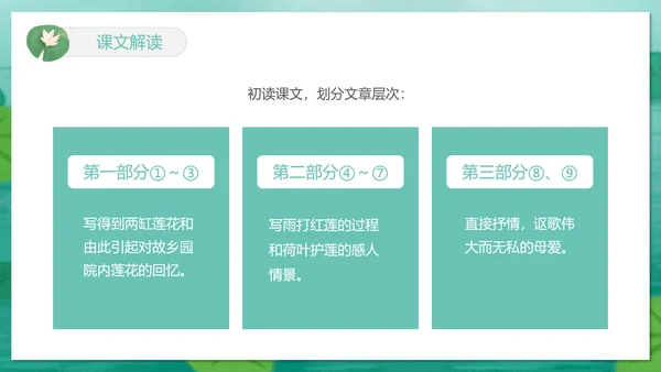 冰心《荷叶母亲》中学语文PPT课件