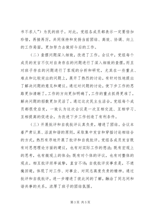 某某某某人民政府党组民主生活会情况的报告.docx