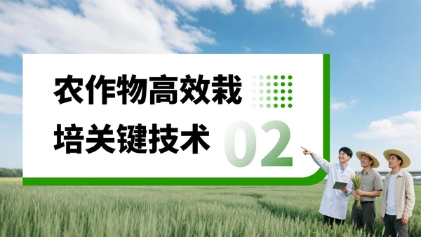 绿色商务风现代农业生产技术与实践创新PPT模板