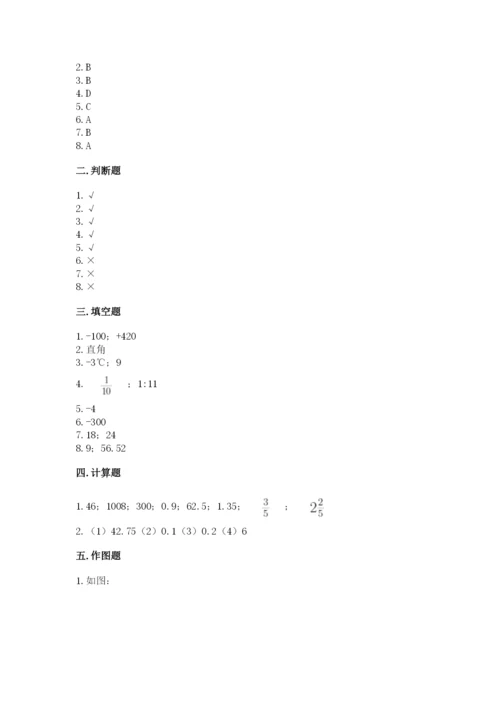 北京版六年级下册数学期末测试卷【能力提升】.docx