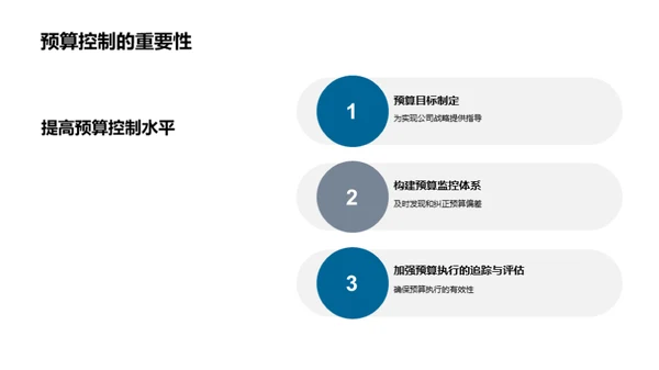 预算管理评估与策略