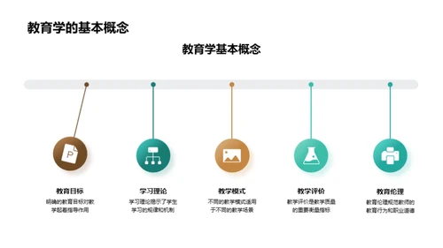 卓效教学的教育学研究