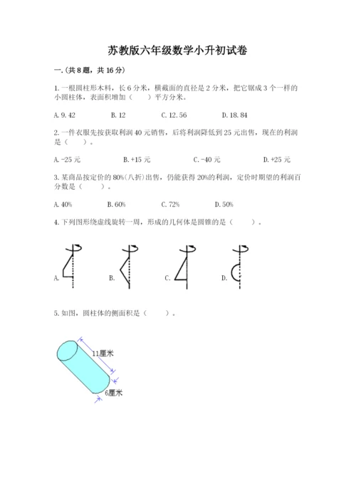 苏教版六年级数学小升初试卷【达标题】.docx