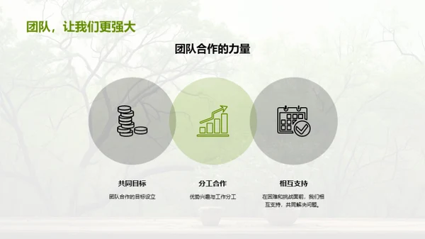 五年级：挑战与成长