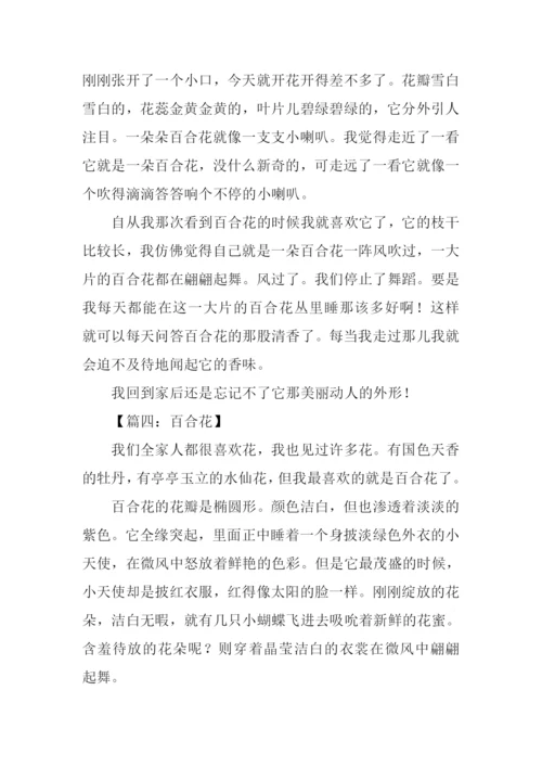 百合花作文400字.docx