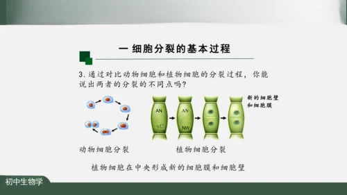 2.2.1 细胞通过分裂产生新细胞 课件（共22张PPT）