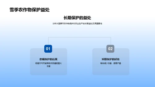 冬雪防冻 农业守护