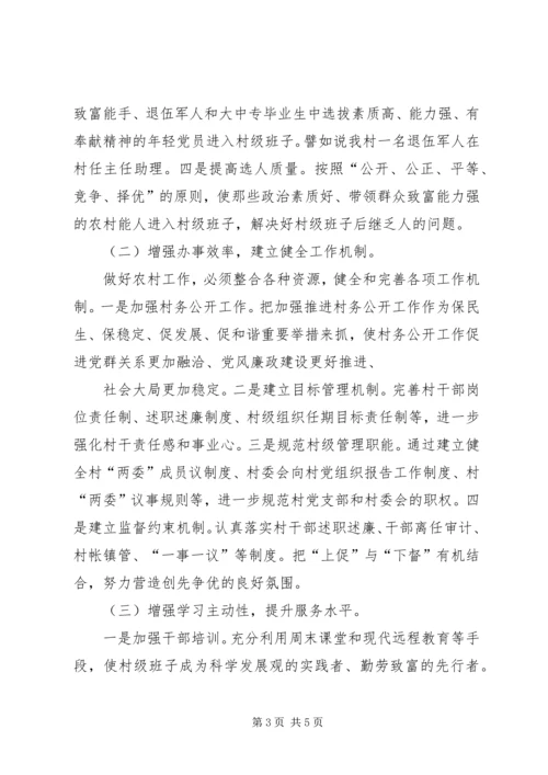 昌图=调研报告加强村级党组织建设的实践与思考5篇 (4).docx