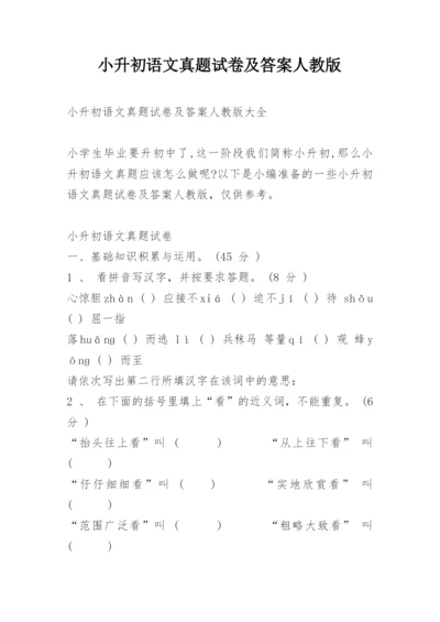 小升初语文真题试卷及答案人教版.docx