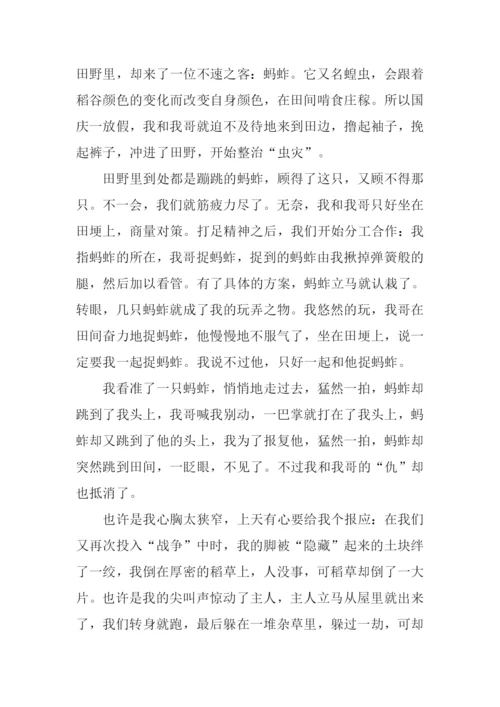 十一见闻作文600字.docx