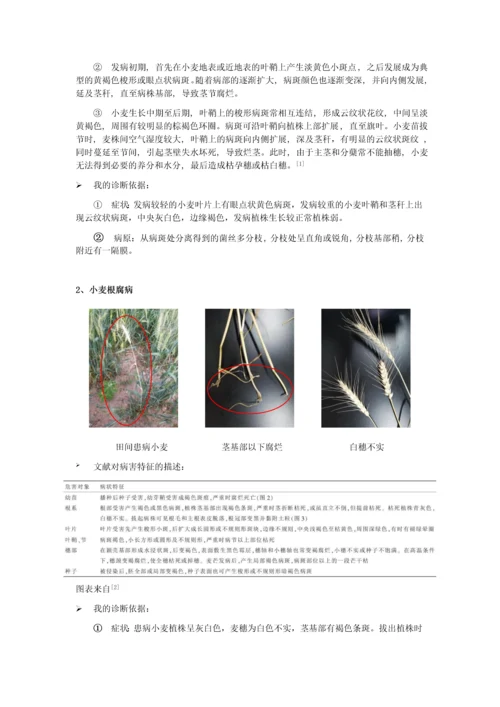 田间病害观察及诊断---植保.docx