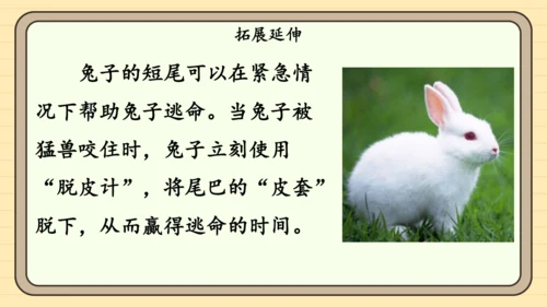 20 小壁虎借尾巴（课件）