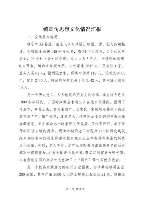 镇宣传思想文化情况汇报.docx