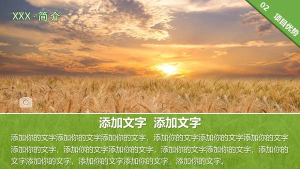 乡村振兴城乡融合绿色生态之城通用PPT模板