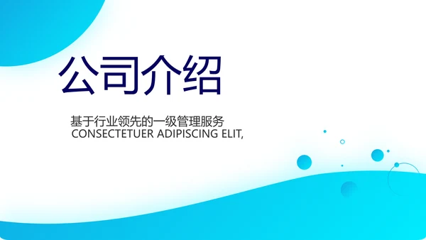 简约大气保险公司介绍工作总结计划动态PPT模板