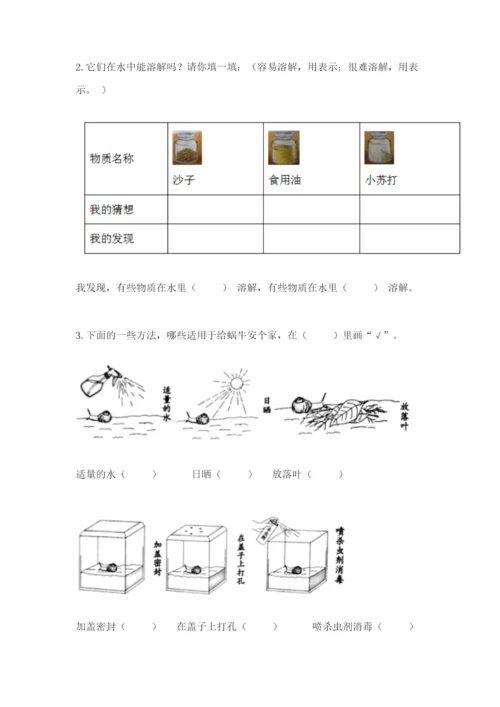 教科版一年级下册科学期末测试卷附完整答案（夺冠系列）.docx