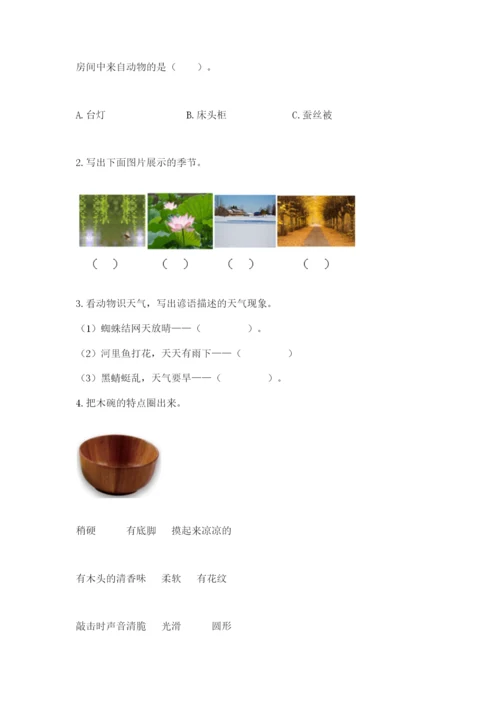 教科版二年级上册科学期末考试试卷附答案（实用）.docx