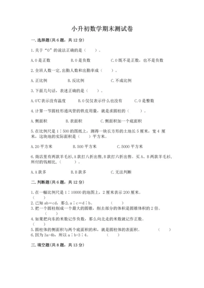 小升初数学期末测试卷（名校卷）word版.docx