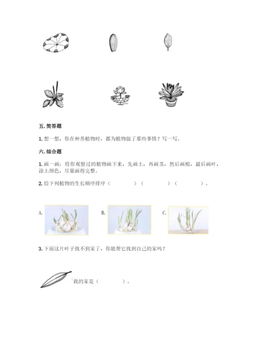 教科版科学一年级上册第一单元 植物 测试卷精品【精选题】.docx
