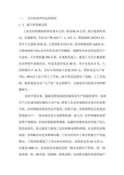 工农兵村水稻专业合作社示范专项项目可行性专题研究报告.docx