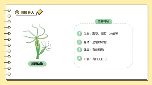 人教版生物八上 5.1无脊椎动物汇总 同步备课课件(共23张PPT)