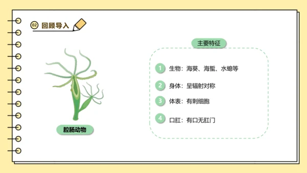 人教版生物八上 5.1无脊椎动物汇总 同步备课课件(共23张PPT)