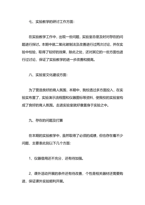 化学实验室的工作总结怎么写.docx