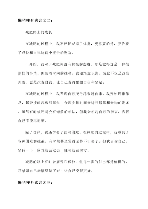懒猪瘦身的感言