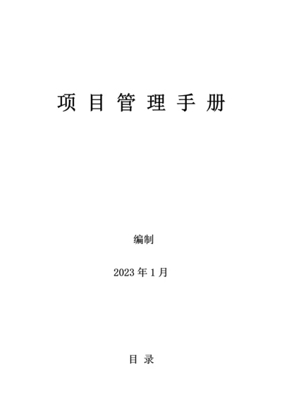 公司项目管理手册.docx