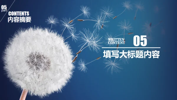 蒲公英种子传播教师公开课通用PPT课件