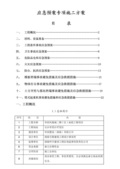 应急全新预案专项综合施工专题方案.docx