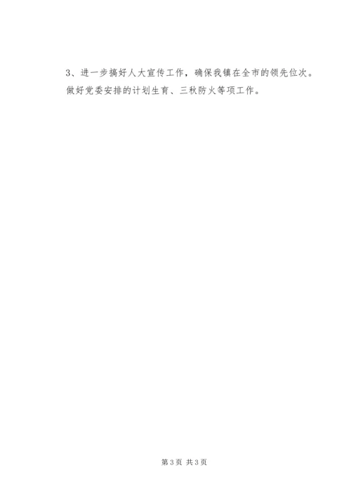 人大办半年工作总结及下年工作计划.docx