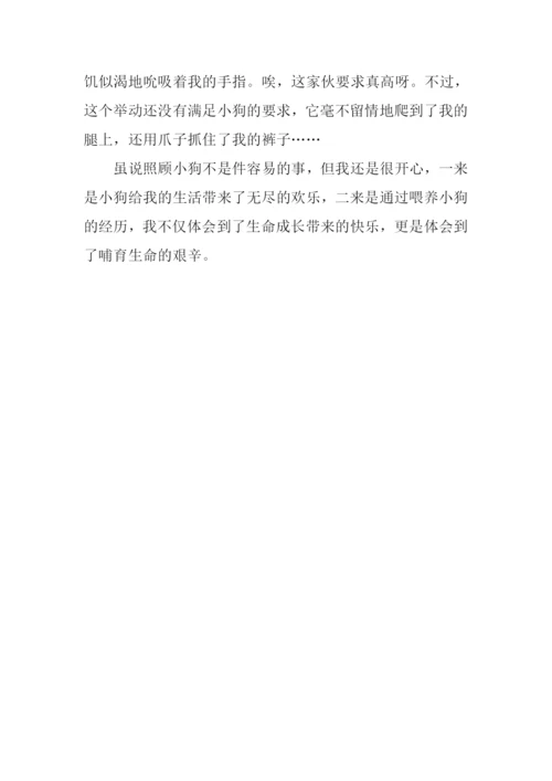 从来没有这样开心作文.docx