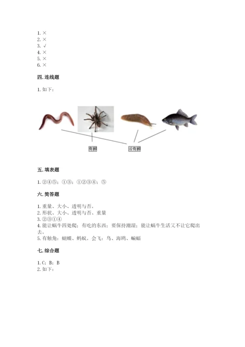教科版小学科学一年级下册期末测试卷附答案（模拟题）.docx