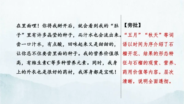 统编版语文八年级下册第二单元写作《说明的顺序》课件(共49张PPT)