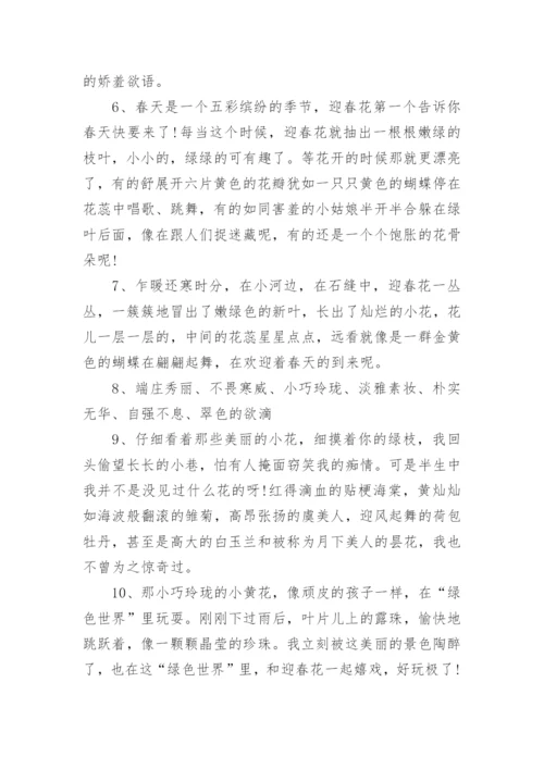 描写迎春花好句好段.docx