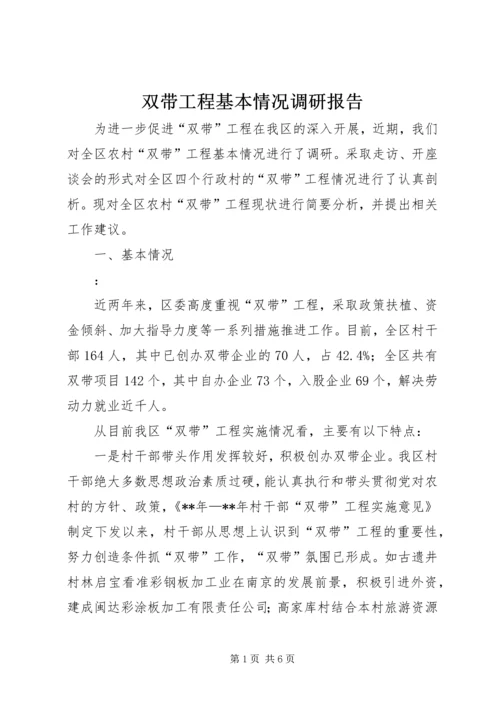 双带工程基本情况调研报告.docx